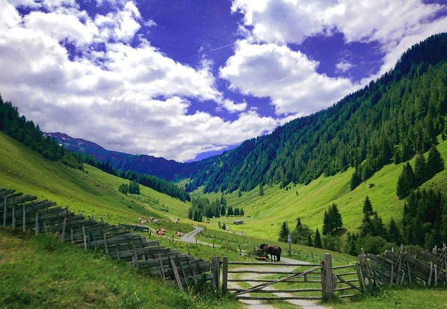 Hofmann Alm Rauris Ausblick